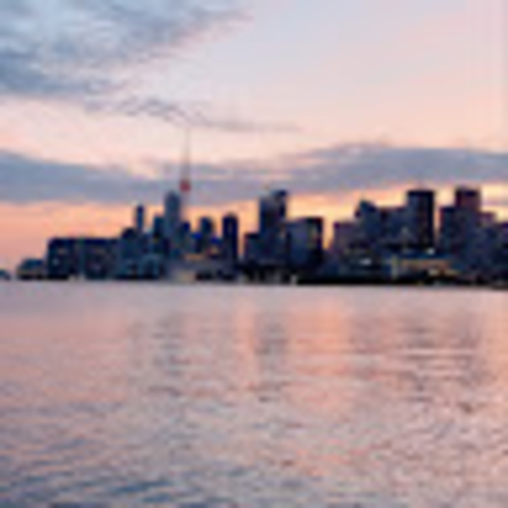 Meet your Posher, Yasmin